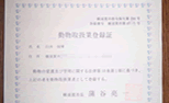資格写真